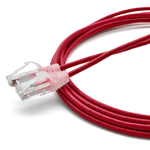 files/1_-_10ft_-_Main_Image_trueCABLE_Cat6_Patch_Cable_Unshielded_28AWG_10ft_-_Main_Image_856f7fae-8480-4121-9a50-675d3b32cf09.png
