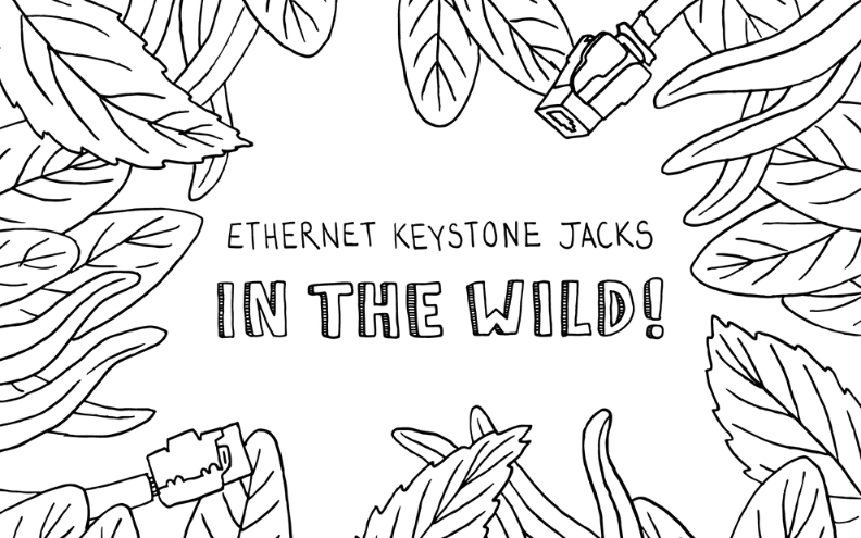 Ethernet Keystone Jacks In the Wild!