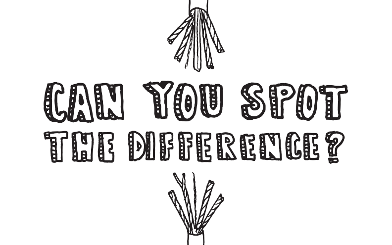 spotting the difference between cat5e and cat6