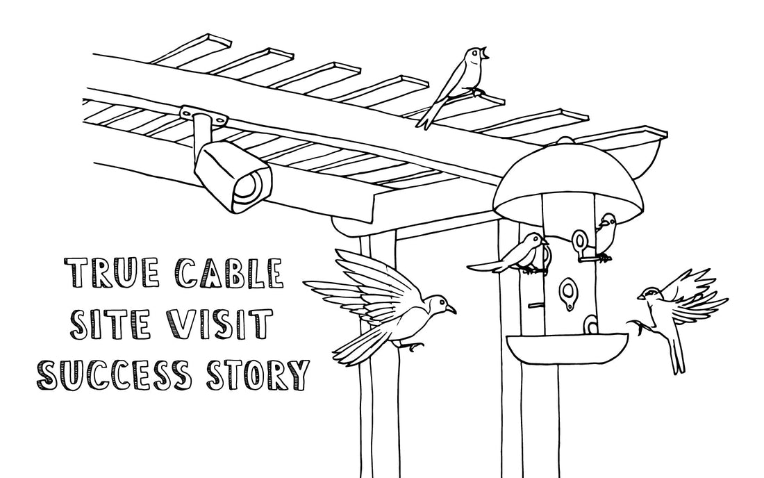 image of bird feeder on a pole with birds flying around and a camera watching the bird feeder and birds