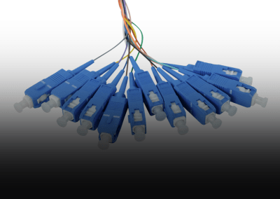 12 Fiber Singlemode Pigtails