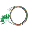 12 Fiber SC APC Pigtail OS2 | SM LSZH