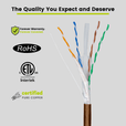 Cat6A Direct Burial Ethernet Cable｜Unshielded