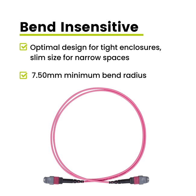 MTP® to MTP® Female OM4 12 Fiber Type B | MM OFNP