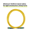 MTP® to MTP® Female OS2 12 Fiber Type B | SM OFNP
