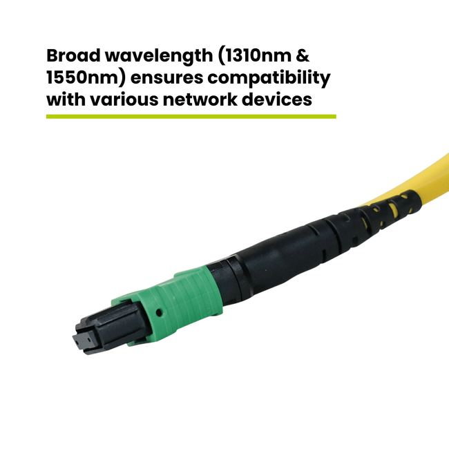 MTP® to MTP® Female OS2 12 Fiber Type B | SM OFNP