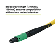 MTP® to MTP® Female OS2 12 Fiber Type B | SM OFNP