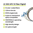 12 Fiber LC UPC Pigtail OS2 | SM LSZH