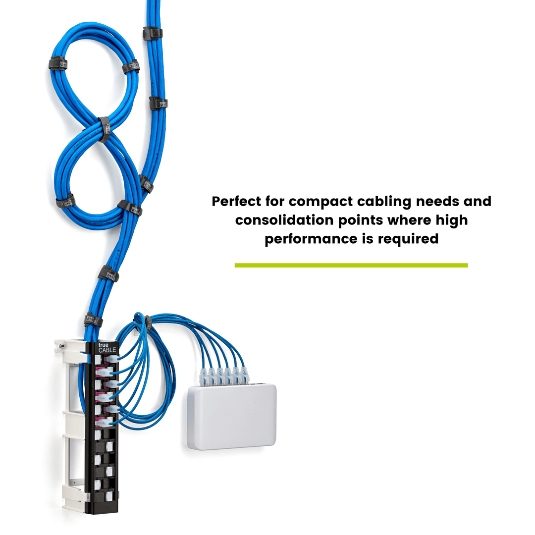 Unshielded 12 Port Wall Mount Patch Panel Installed for High Performance
