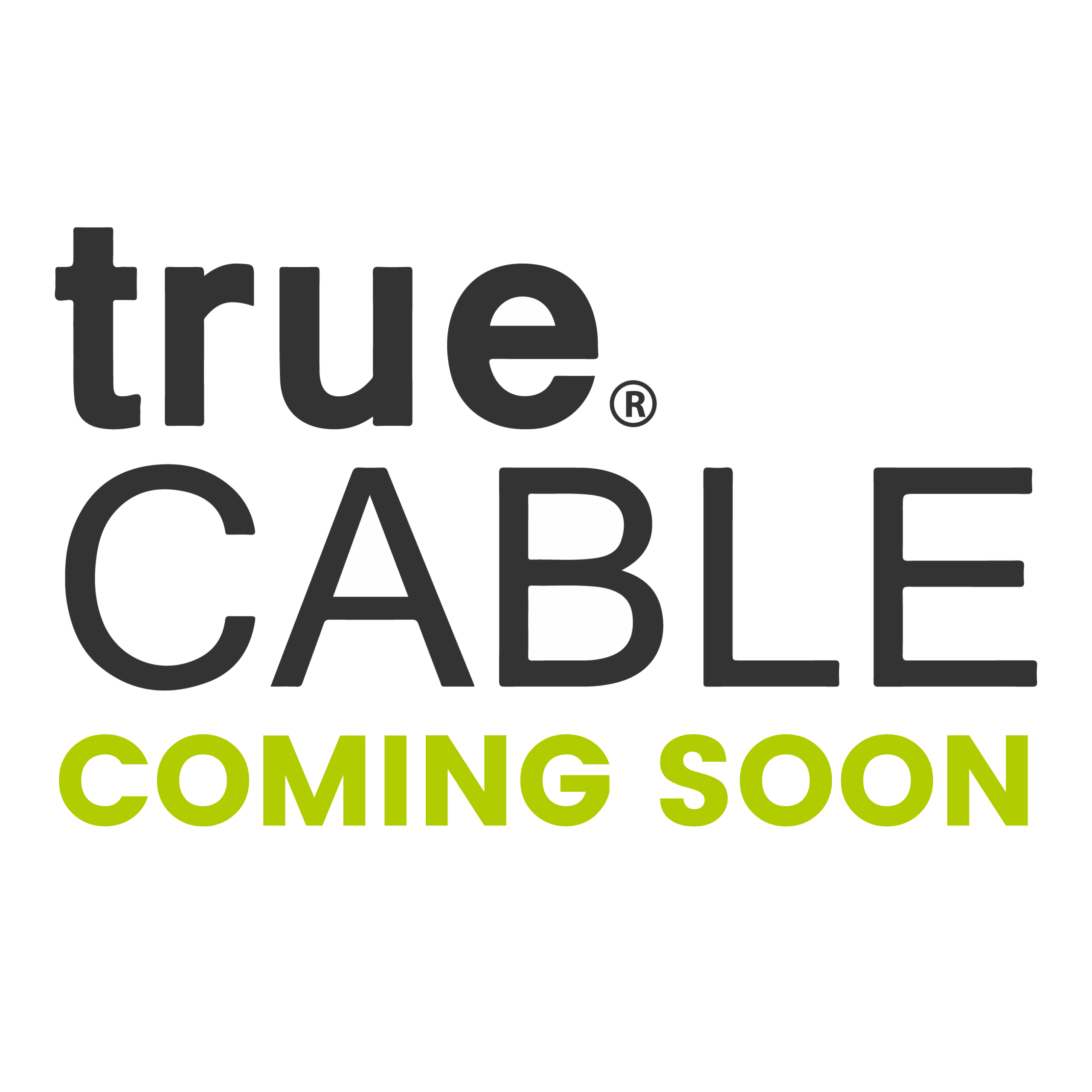 Cat6A Ethernet Patch Cable | Shielded