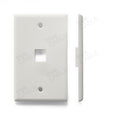 Single Gang Wall Plates -1 port