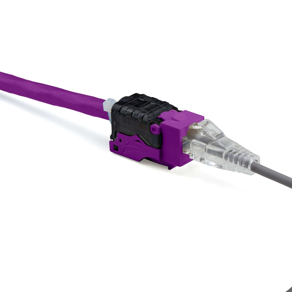 Cat6A Toolless Keystone Jack | Unshielded | 6pc | Purple