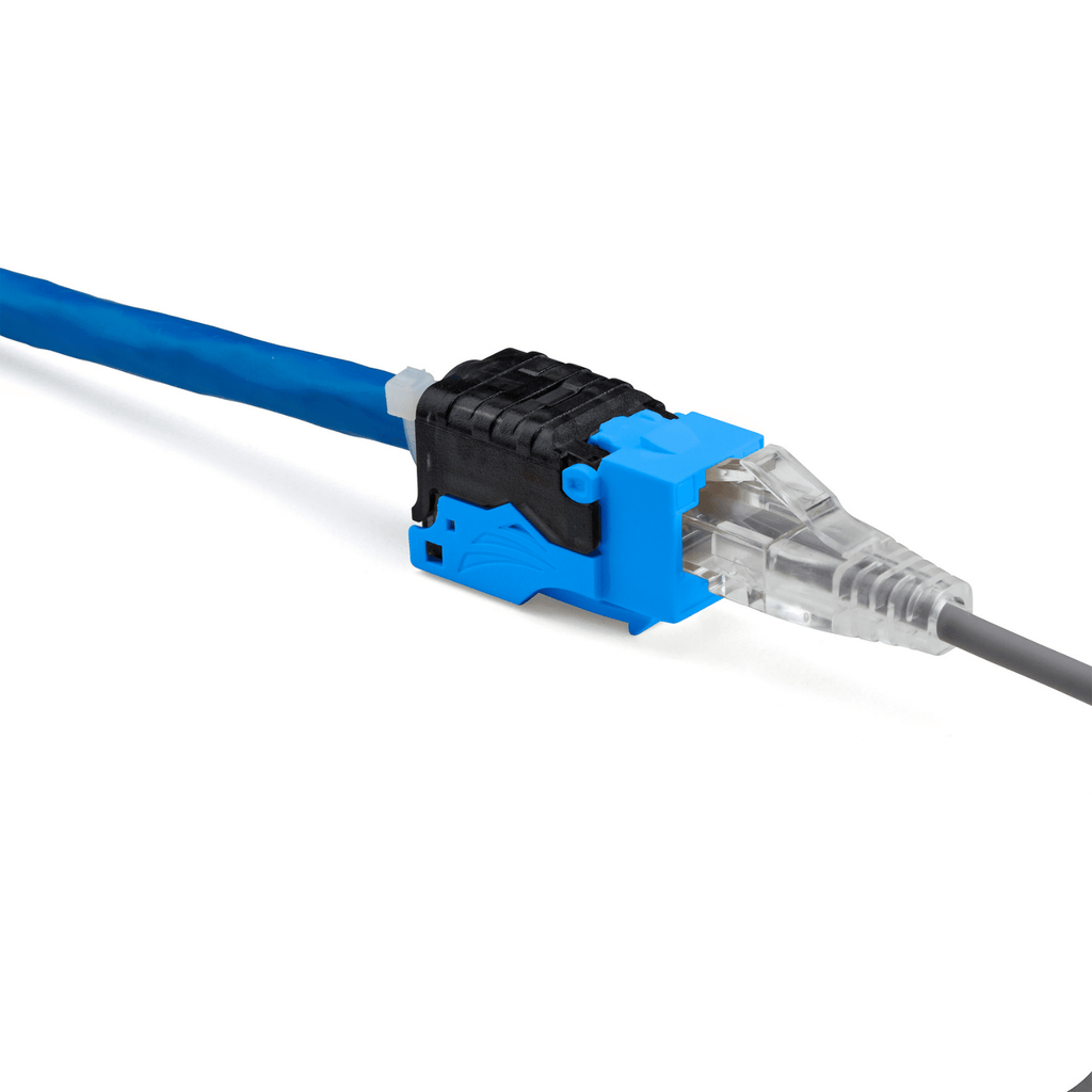 Cat6 Toolless Keystone Jack | Unshielded | 2pc | Blue