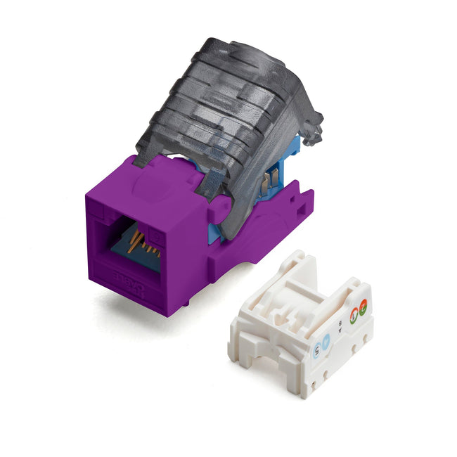 Cat6 Toolless Keystone Jack | Unshielded | 2pc | Purple