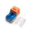 Cat5e Punch Down Keystone Jack | Unshielded | 24pc | Back | Orange