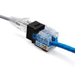 products/Cat5eUnshieldedPunchDownConnection_Black_248162b9-053e-4bd8-bcd5-a8181bf85957.png