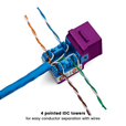 Cat5e Punch Down Keystone Jack | Unshielded | 12pc | Packaging | Purple
