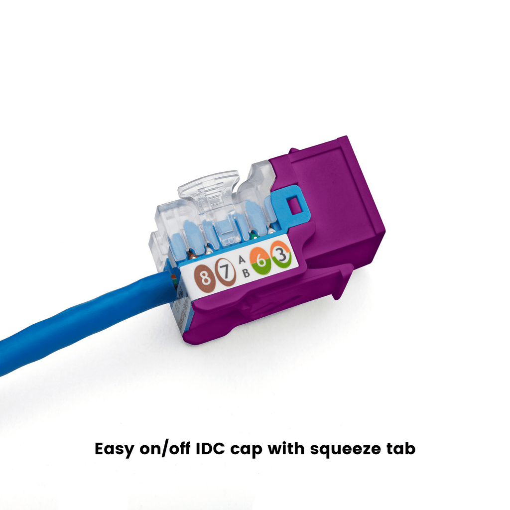 Cat5e Punch Down Keystone Jack | Unshielded | 24pc | Packaging | Purple