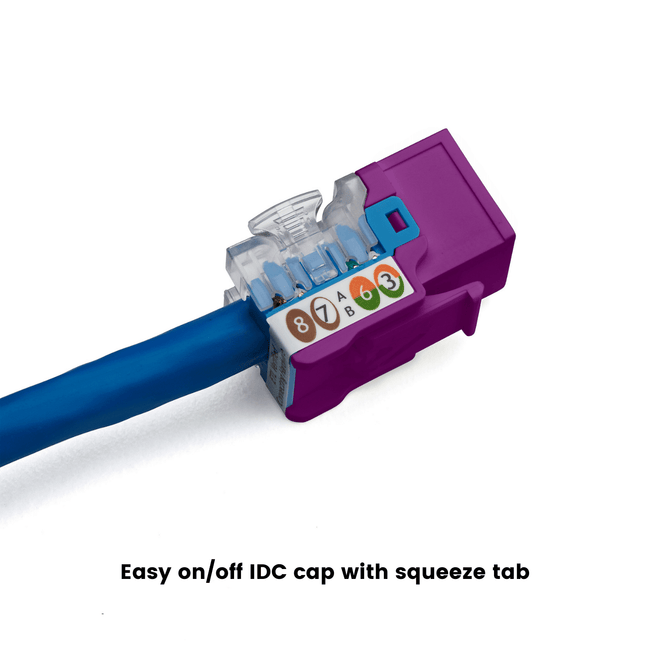 Cat6A Punch Down Keystone Jack | Unshielded | 12pc | Packaging | Purple