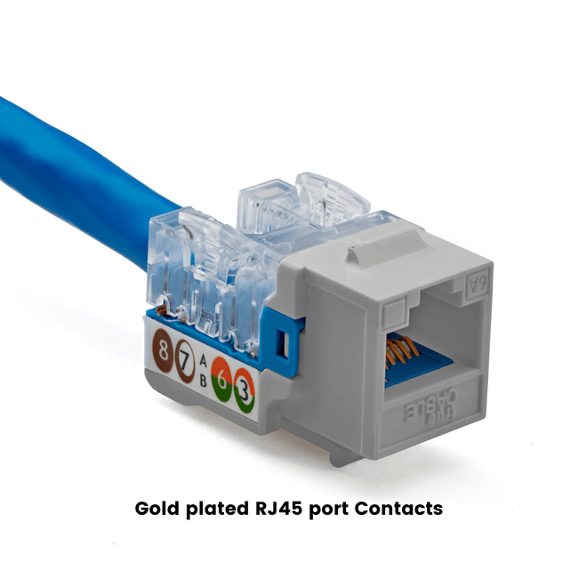 Cat6A Punch Down Keystone Jack | Unshielded | 12pc | Packaging | Gray