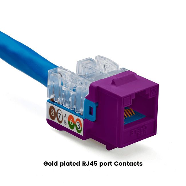 Cat6A Punch Down Keystone Jack | Unshielded | 12pc | Packaging | Purple