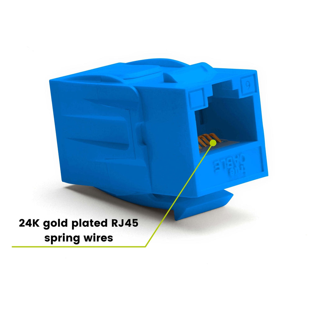 Cat6 Keystone Jack Coupler | Unshielded | Blue | 12 Piece | 24K gold plated spring wires