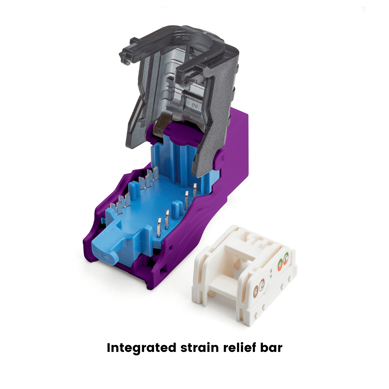 Cat5e Toolless Keystone Jack | Unshielded | 12pc | Purple