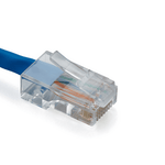 Cat5e Standard RJ45 Connectors | Unshielded | 100pc | Conductors inserted